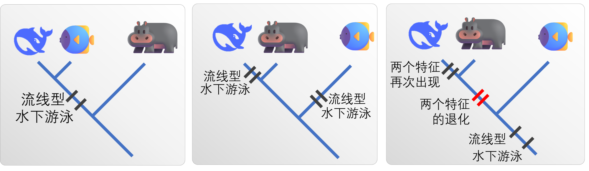 同塑性
